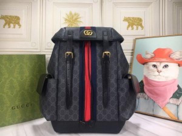 Gucci ophidia gg back pack premium quality unisex with dust bag