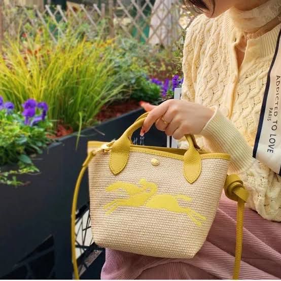 Long champ OG Authentic Bags with Carry Bag