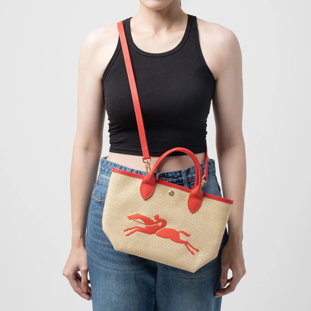 Long champ OG Authentic Bags with Carry Bag