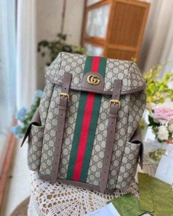 Gucci ophidia gg back pack premium quality unisex with dust bag