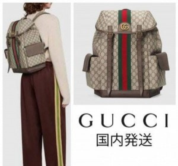 Gucci ophidia gg back pack premium quality unisex with dust bag