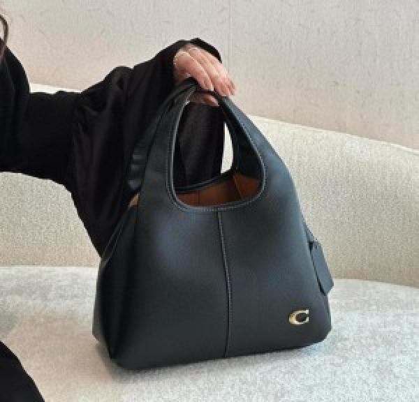 Coach lana hobo sling bag premium quality with box