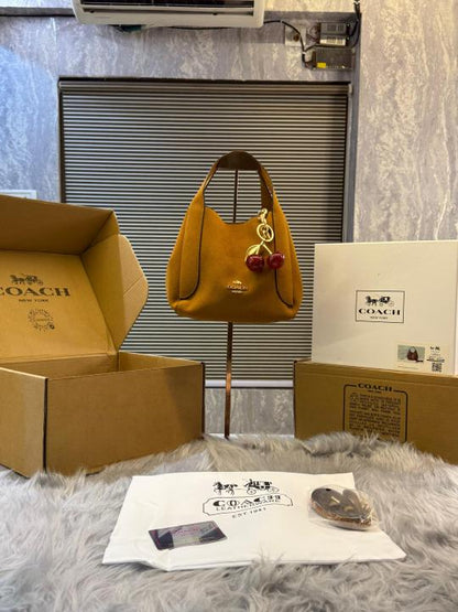 COACH HOBO BUCKET WITH DOUBLE BOX AND DUST BAG PREMIUM QUALITY