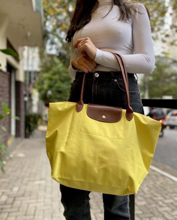 Long Chaamp le pliage With Brand ZipLock