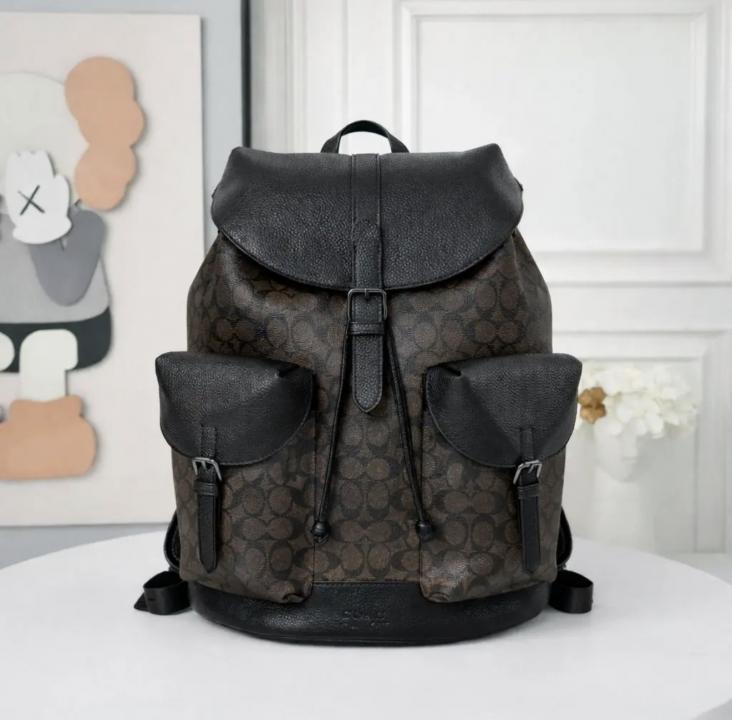 Coachh Warner Signature Large Backpack With DustCover CarryBag