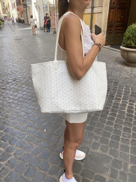 Goyarrd Artios GM With Wallet &amp; Dustcover