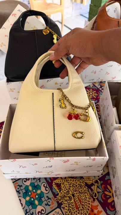 Coaach lana hobo sling bag with charm and premium quality with box